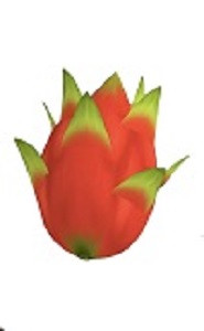 fruit ninja dragon fruit