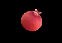 pomegranate fruit ninja mod apk