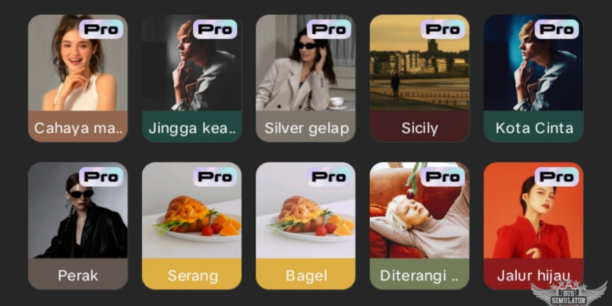 Filter Pro CapCut Mod Apk