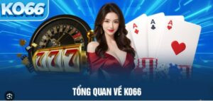 KO66 – Không phải nhà cái thông thường, mà là một nền tảng toàn diện 