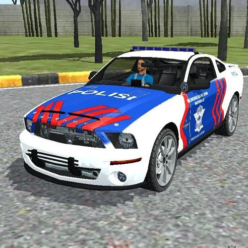 Mustang Shelby GT500KR PATWAL